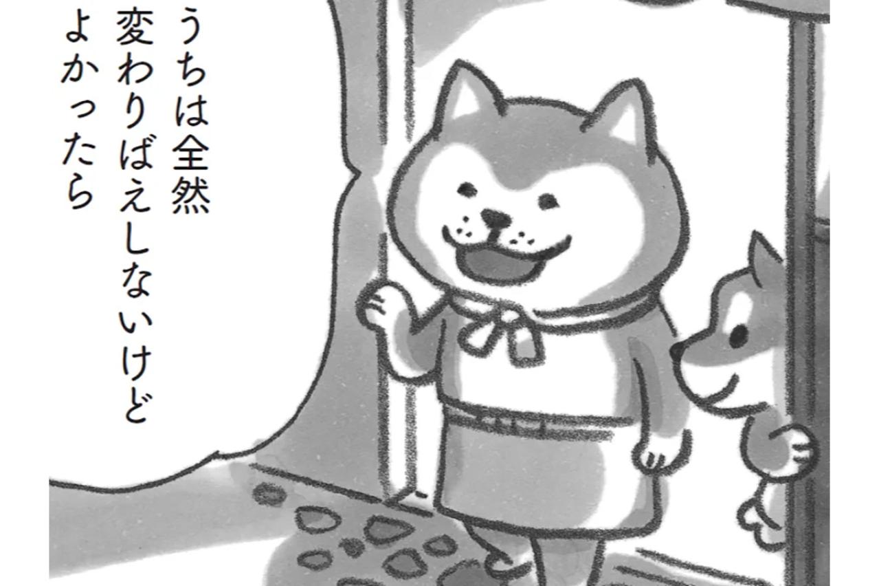 新しい生活に疲れたときは、モフモフ柴犬に会いに来て！【柴犬食堂#4】