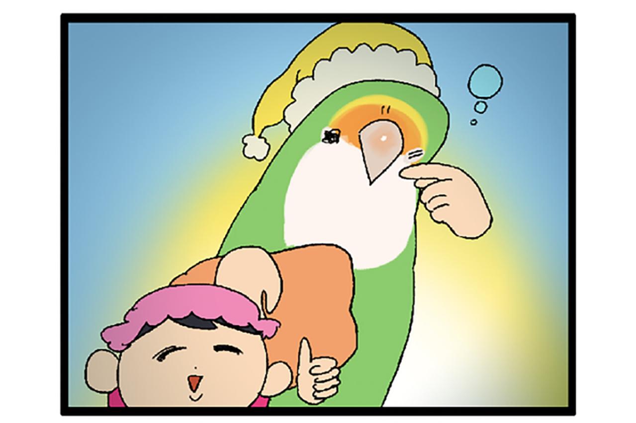 大天使カチョリエルをお迎え！様子が気になる飼い主…【鳥マンガ＃104】