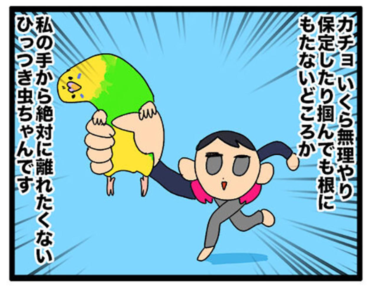 【セキセイインコのカチョ】動物病院で薬を処方してもらうときの名前問題【鳥マンガ＃106】（画像6）