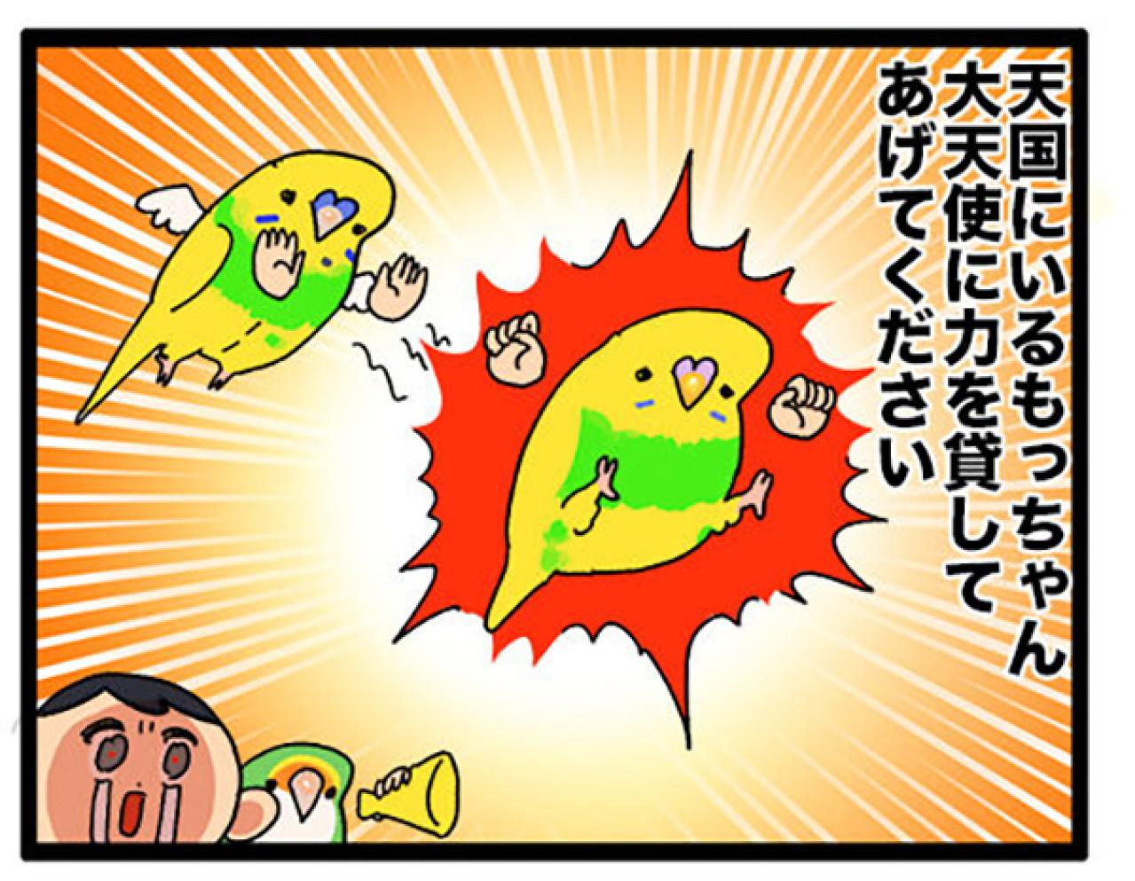 インコの健康診断は重要！PBFD陽性の実体験から学ぶ前向きな治療法【鳥マンガ＃105】（画像12）