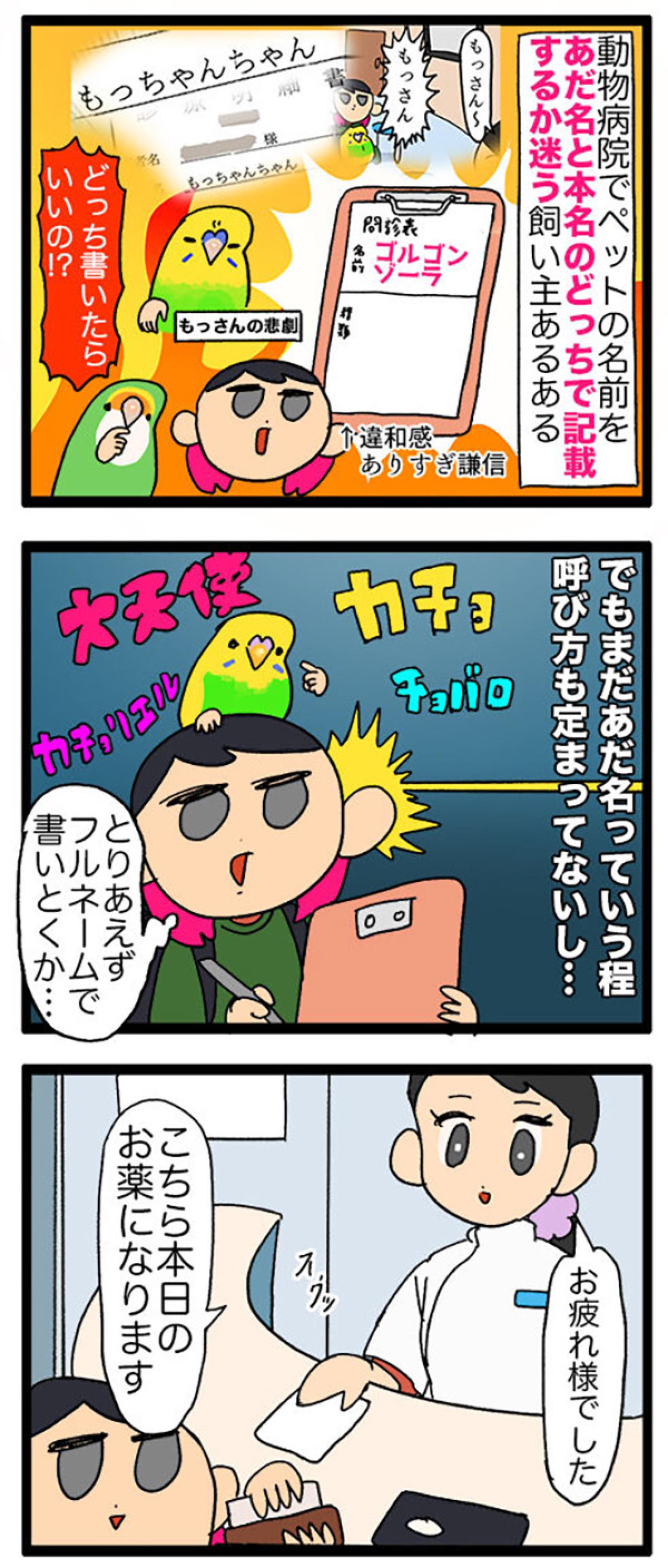 【セキセイインコのカチョ】動物病院で薬を処方してもらうときの名前問題【鳥マンガ＃106】（画像7）