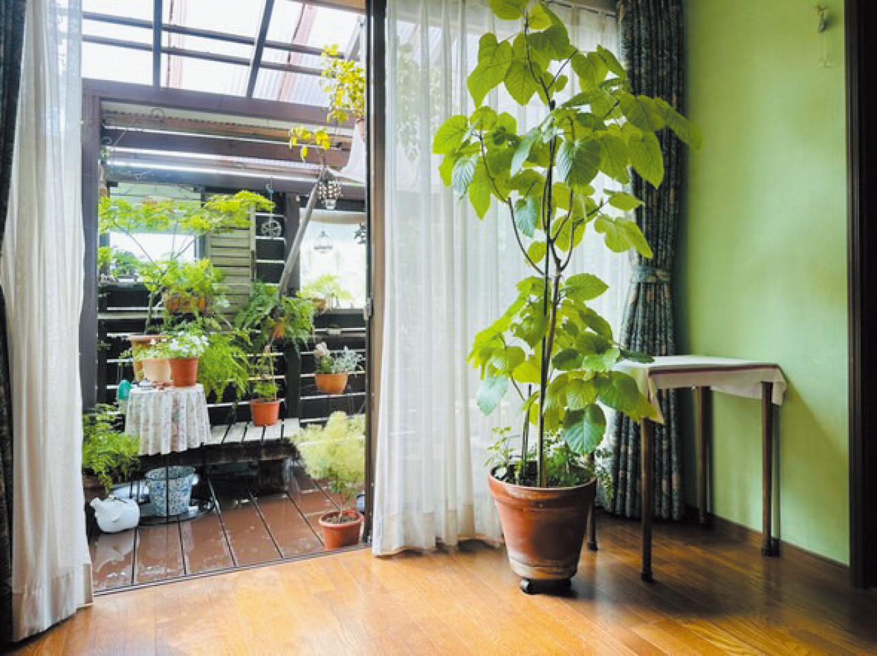 築30年の家をDIYでリフォーム！60代夫婦が選んだ暮らし方「車も手放しました」（画像8）