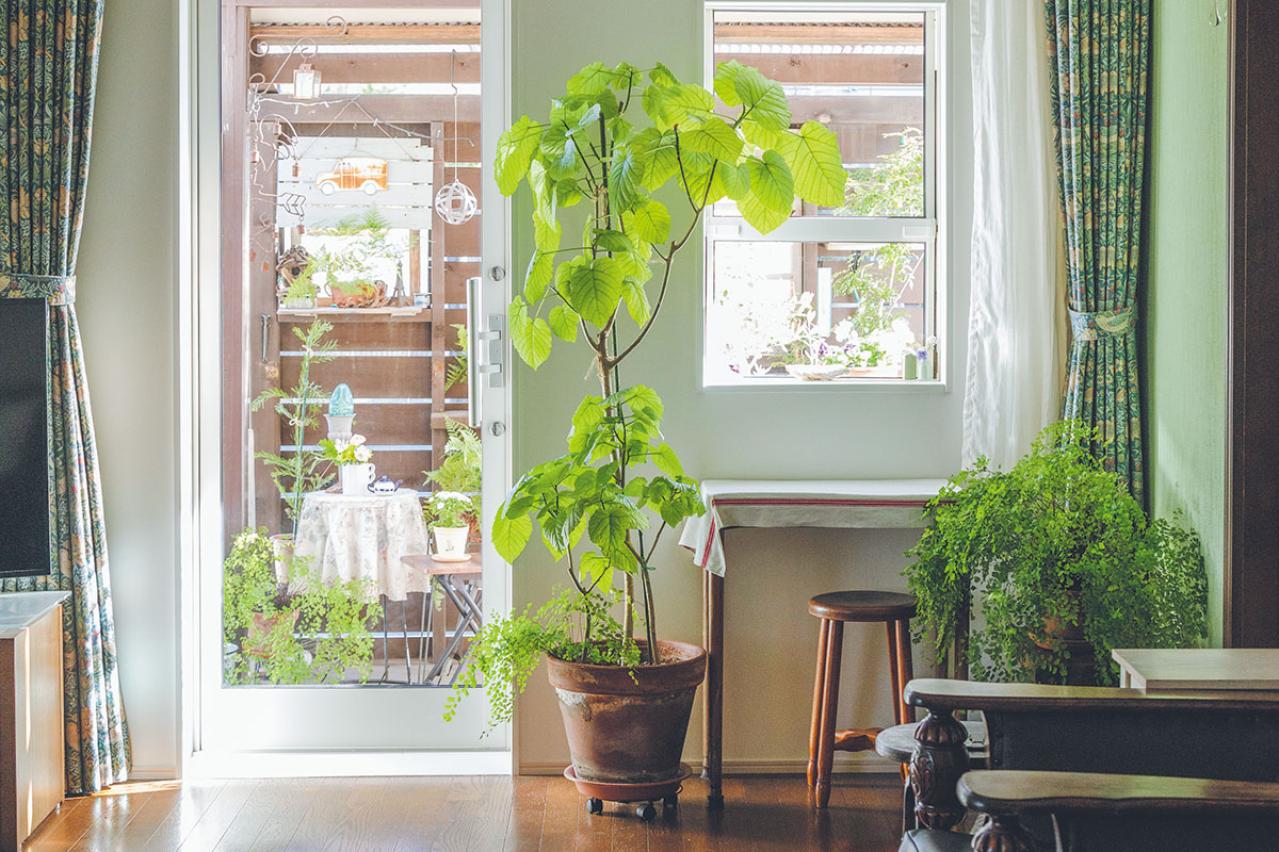 築30年の家をDIYでリフォーム！60代夫婦が選んだ暮らし方「車も手放しました」