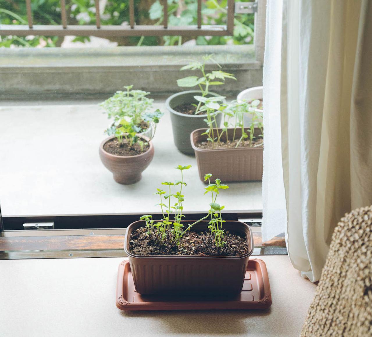 築35年の団地に住む理由。「絶対”ない”と思った」家だったけど…身の丈にあった暮らしと幸せの見つけ方（画像12）