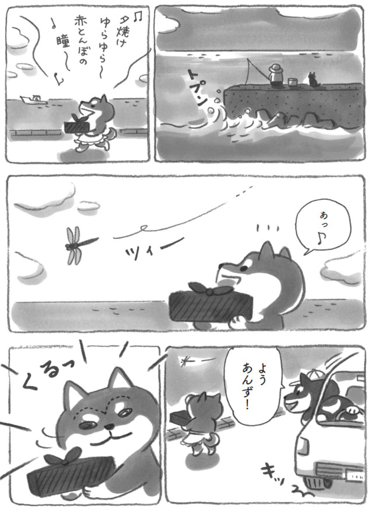 柴犬あんずに眉毛が！？年頃女子の悩みに愛らしさ全開【柴犬食堂 #18】（画像2）