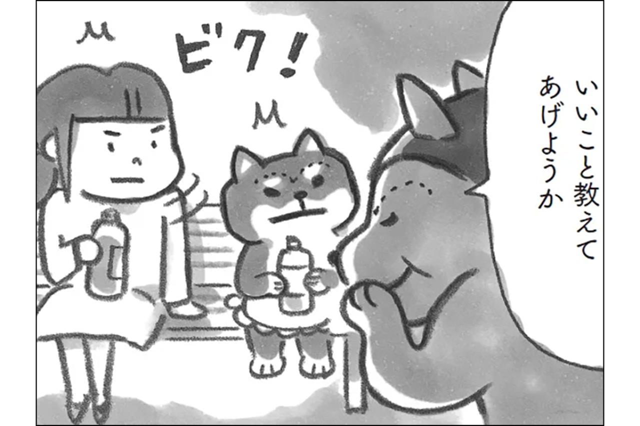 無理して笑顔は疲れるだけ…柴犬おかみさん直伝！合わない人との関わり方【柴犬食堂 #19】