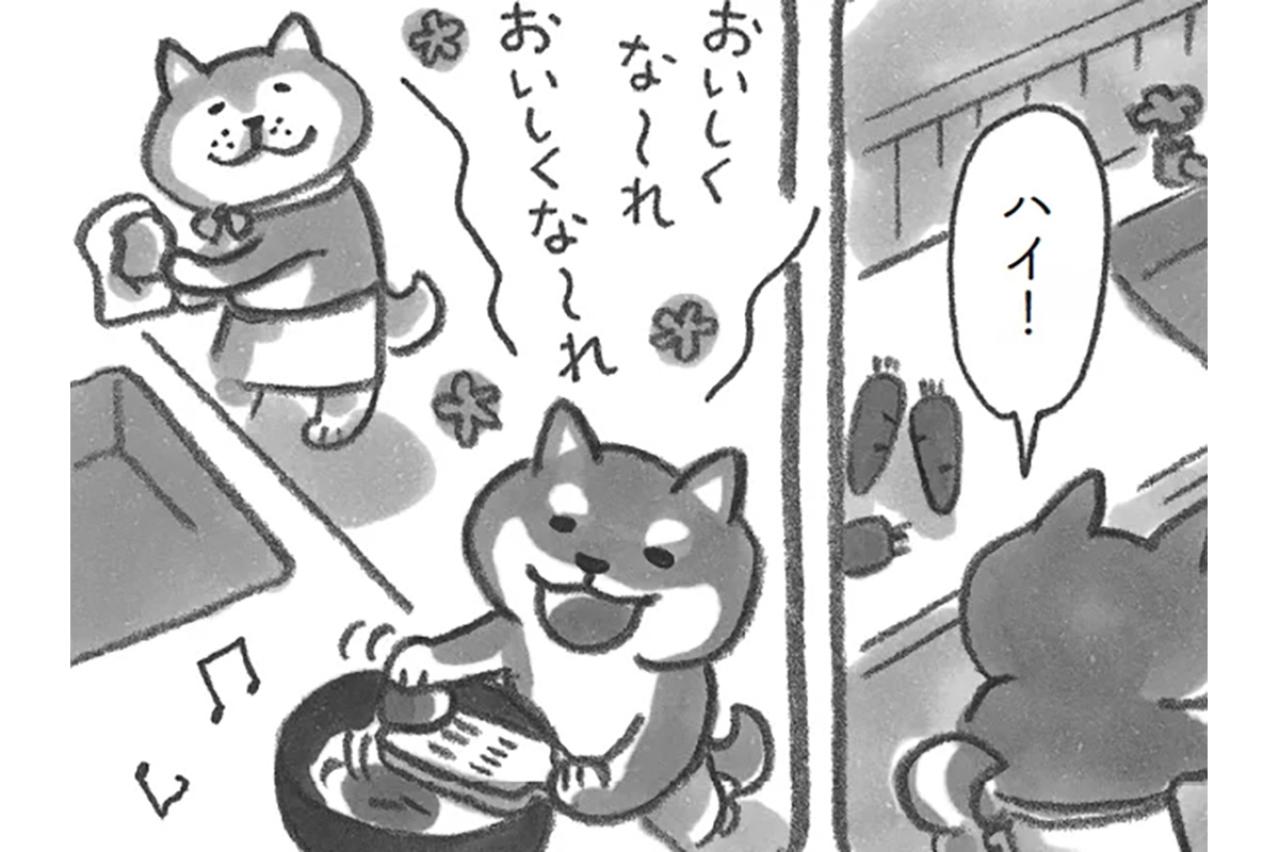 柴犬の大将が教えてくれたこと。イライラは料理にぶつけちゃだめ！【柴犬食堂 #15】