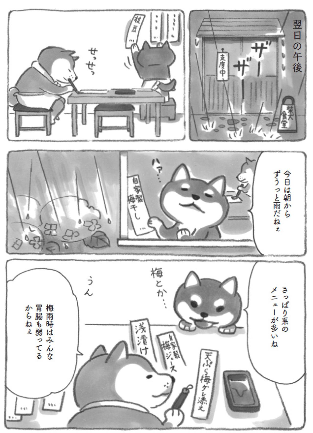 自分をいたわる時間の大切さ…柴犬大将がそっと教えてくれました【柴犬食堂 #9】（画像2）