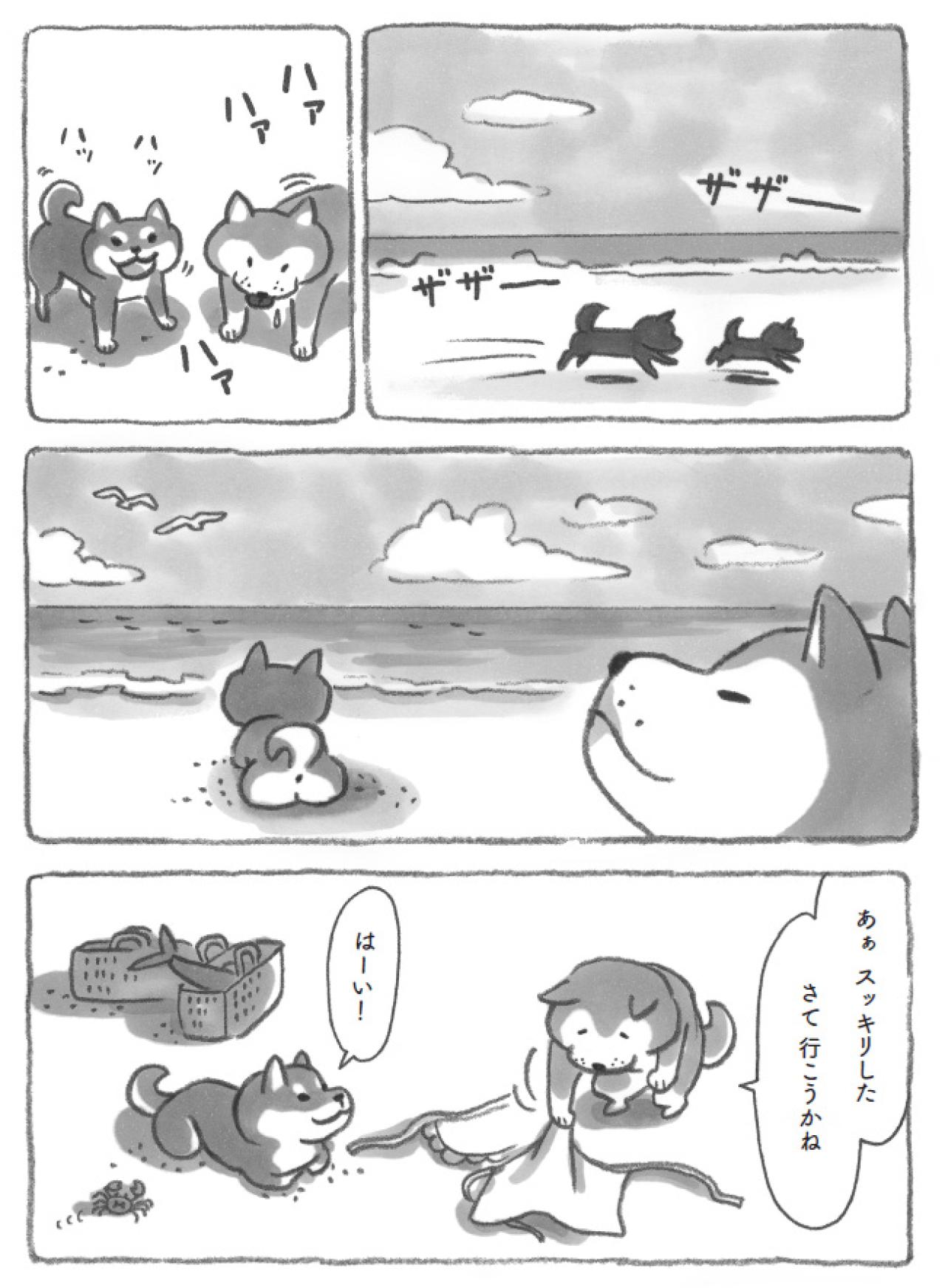 あ、やっぱり柴犬だ！海辺でとった行動に納得。だから今日も元気に過ごせるのだ！【柴犬食堂 #11】（画像3）