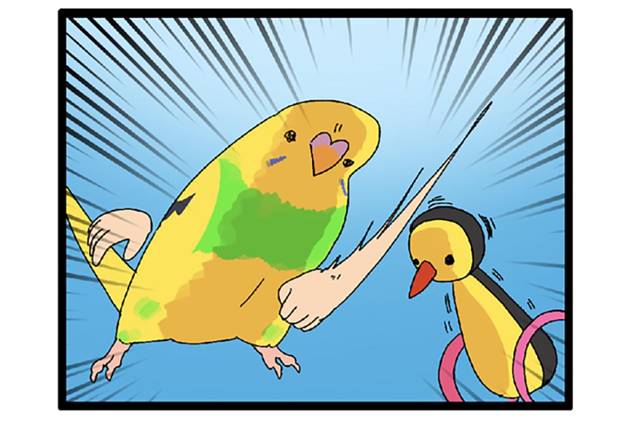 まだ3ヶ月で暴君⁉気の強さが少しずつ見えてきたセキセイインコ【鳥マンガ＃109】