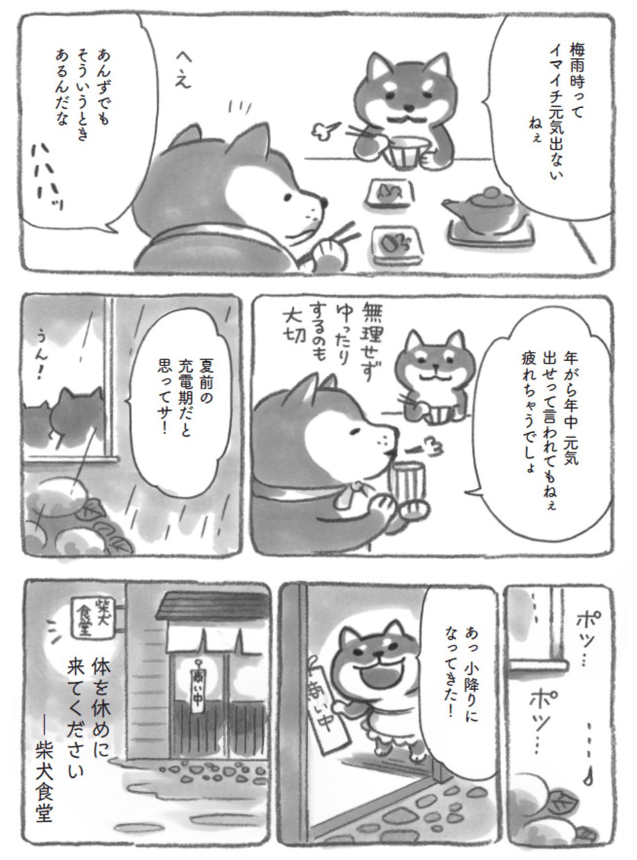 自分をいたわる時間の大切さ…柴犬大将がそっと教えてくれました【柴犬食堂 #9】（画像4）