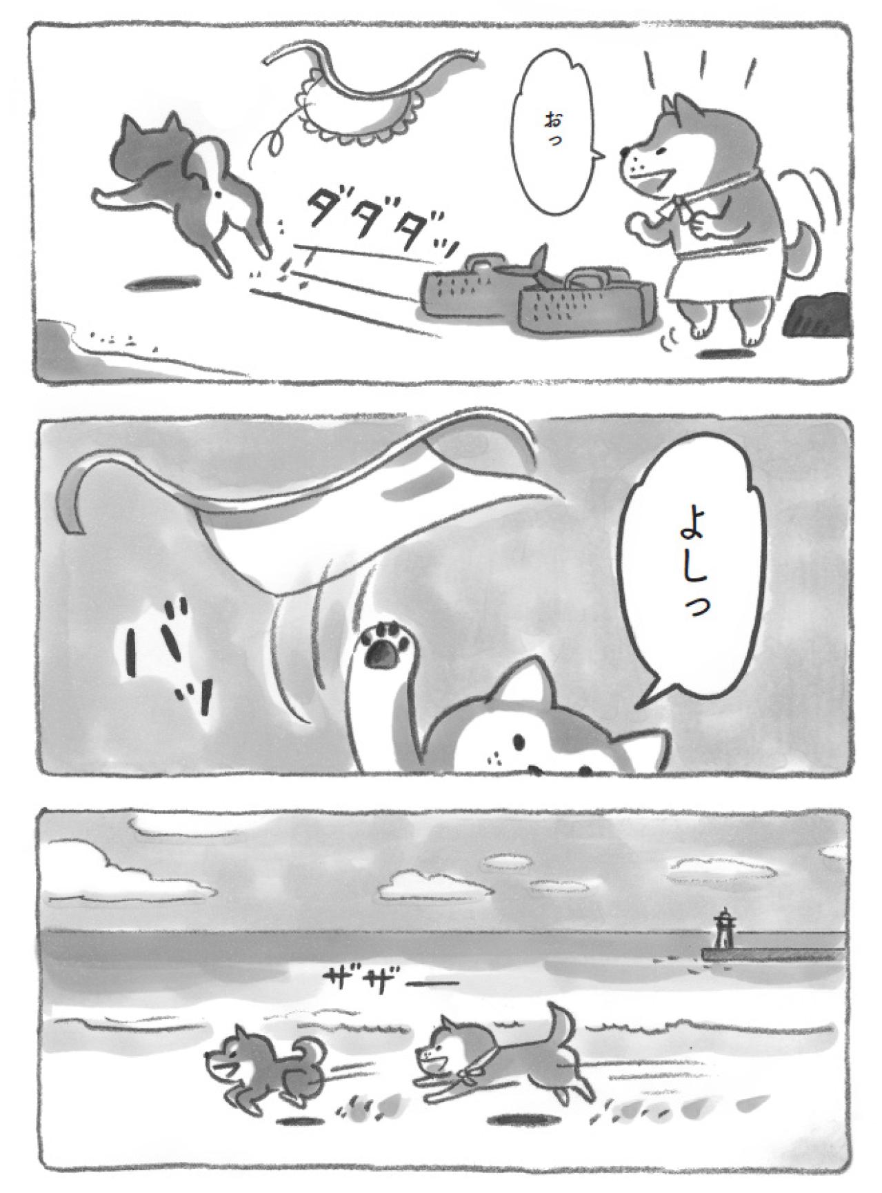 あ、やっぱり柴犬だ！海辺でとった行動に納得。だから今日も元気に過ごせるのだ！【柴犬食堂 #11】（画像2）