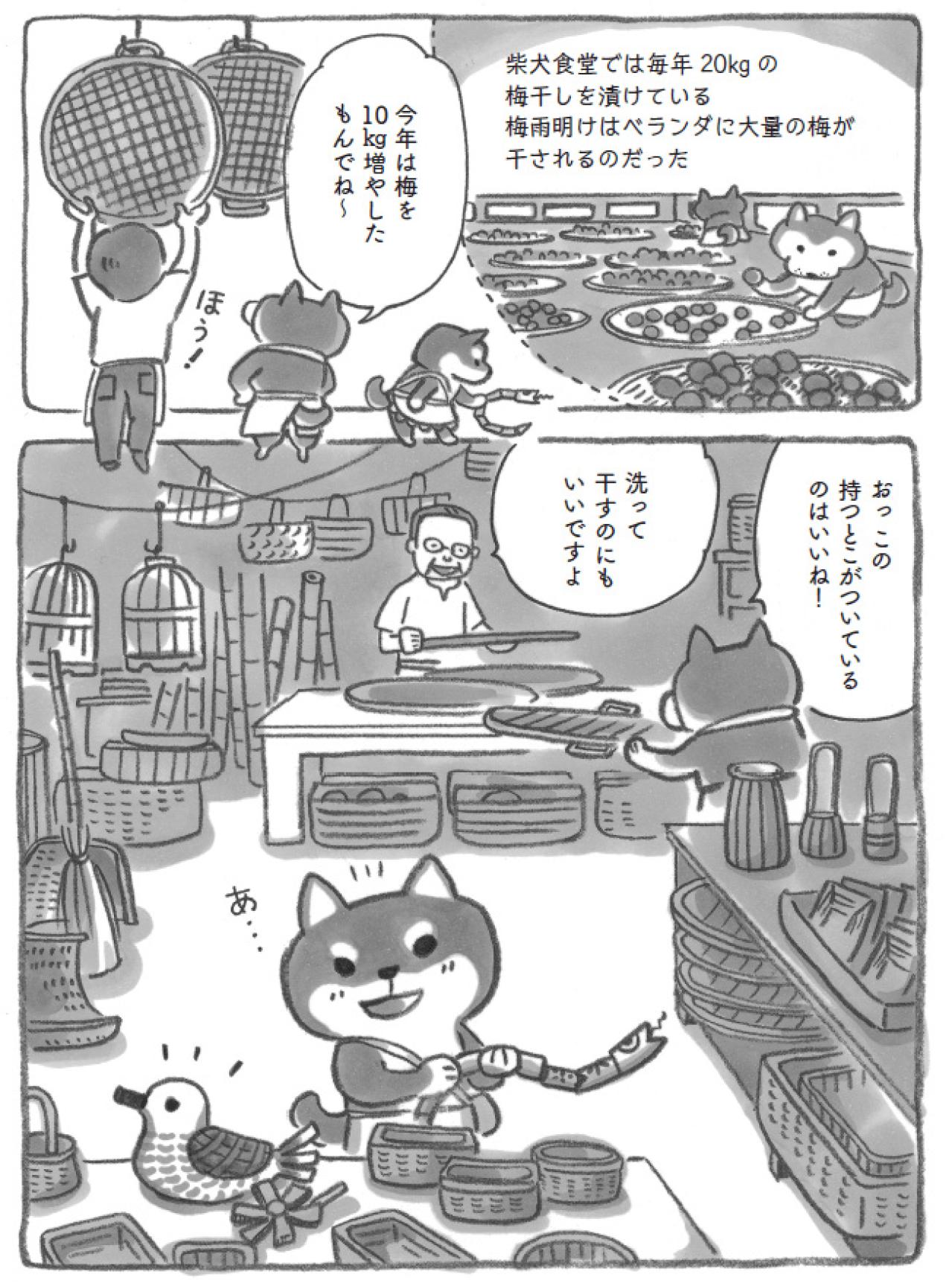 柴犬は毎年20キロの梅を漬けている！？梅雨明けが待ち遠しいある日【柴犬食堂 #8】（画像4）