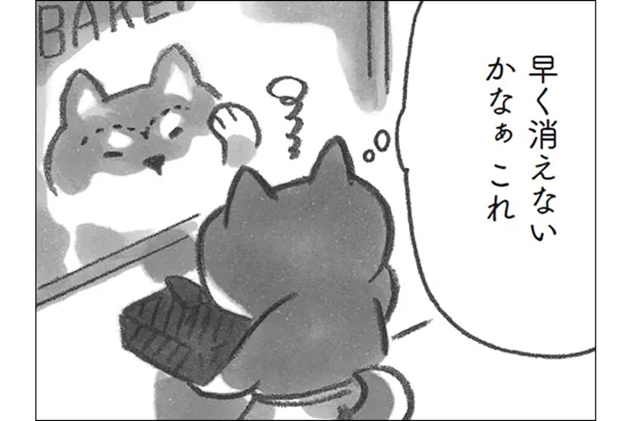 柴犬あんずに眉毛が！？年頃女子の悩みに愛らしさ全開【柴犬食堂 #18】