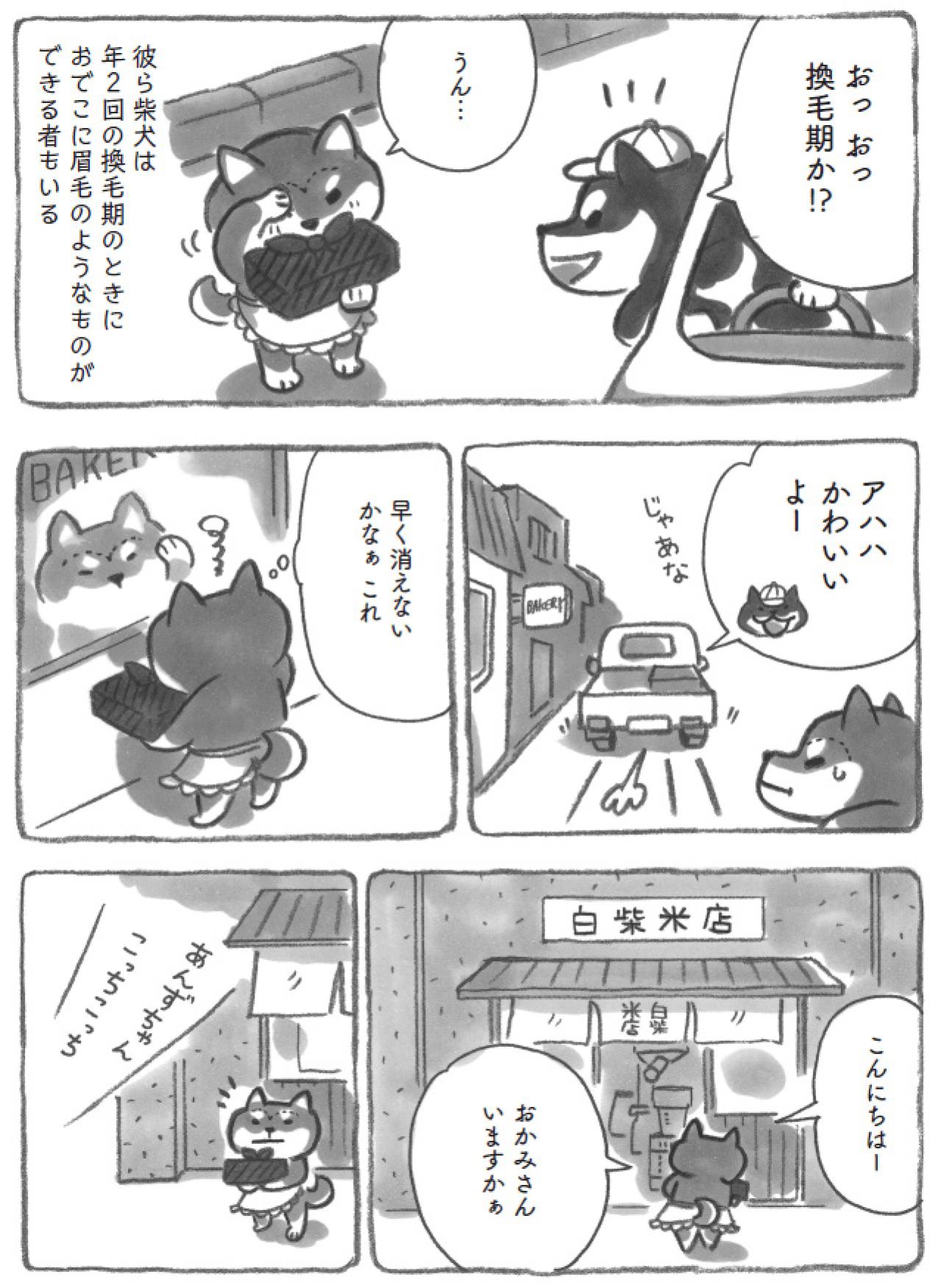 柴犬あんずに眉毛が！？年頃女子の悩みに愛らしさ全開【柴犬食堂 #18】（画像3）