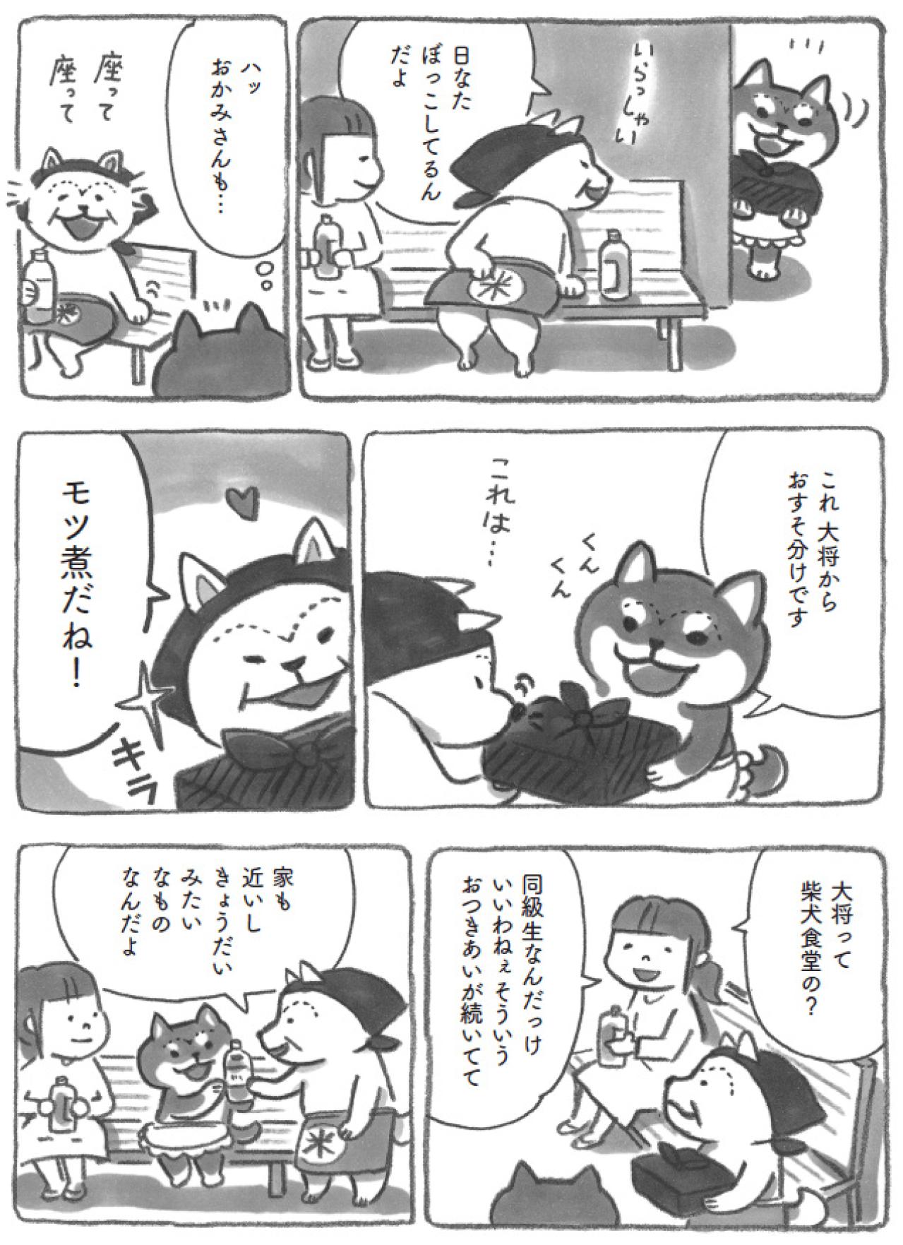 柴犬あんずに眉毛が！？年頃女子の悩みに愛らしさ全開【柴犬食堂 #18】（画像4）