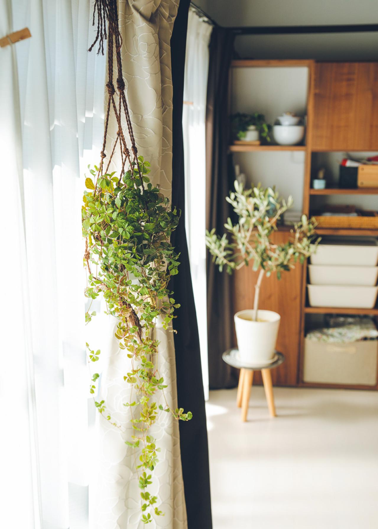 450万円の田舎の一軒家は「安泰ではなかった…」58歳、団地で再出発。田舎暮らしの失敗から得たもの（画像3）