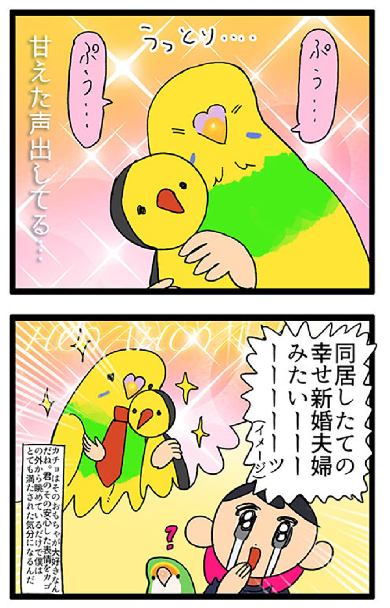 甘えん坊インコの「ぷぅ…」に撃沈！かわいさで心を奪われる日常【鳥マンガ＃113】（画像6）