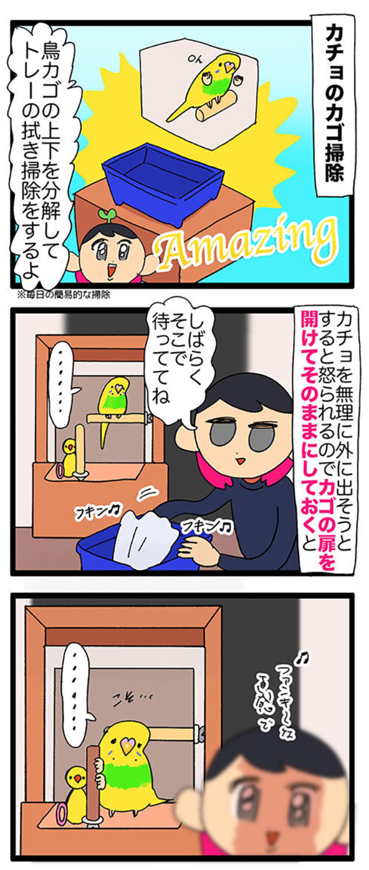 先代インコの思い出と重なる瞬間！インコのかわいすぎる甘え行動にほっこり【鳥マンガ＃115】（画像6）