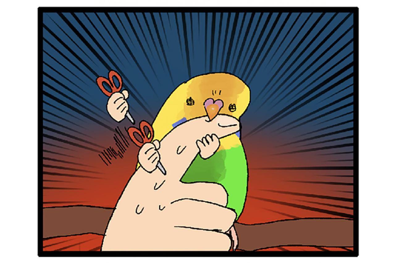 換羽チェックでインコに嫌われた!? それでも甘やかす飼い主の愛情物語【鳥マンガ＃112】