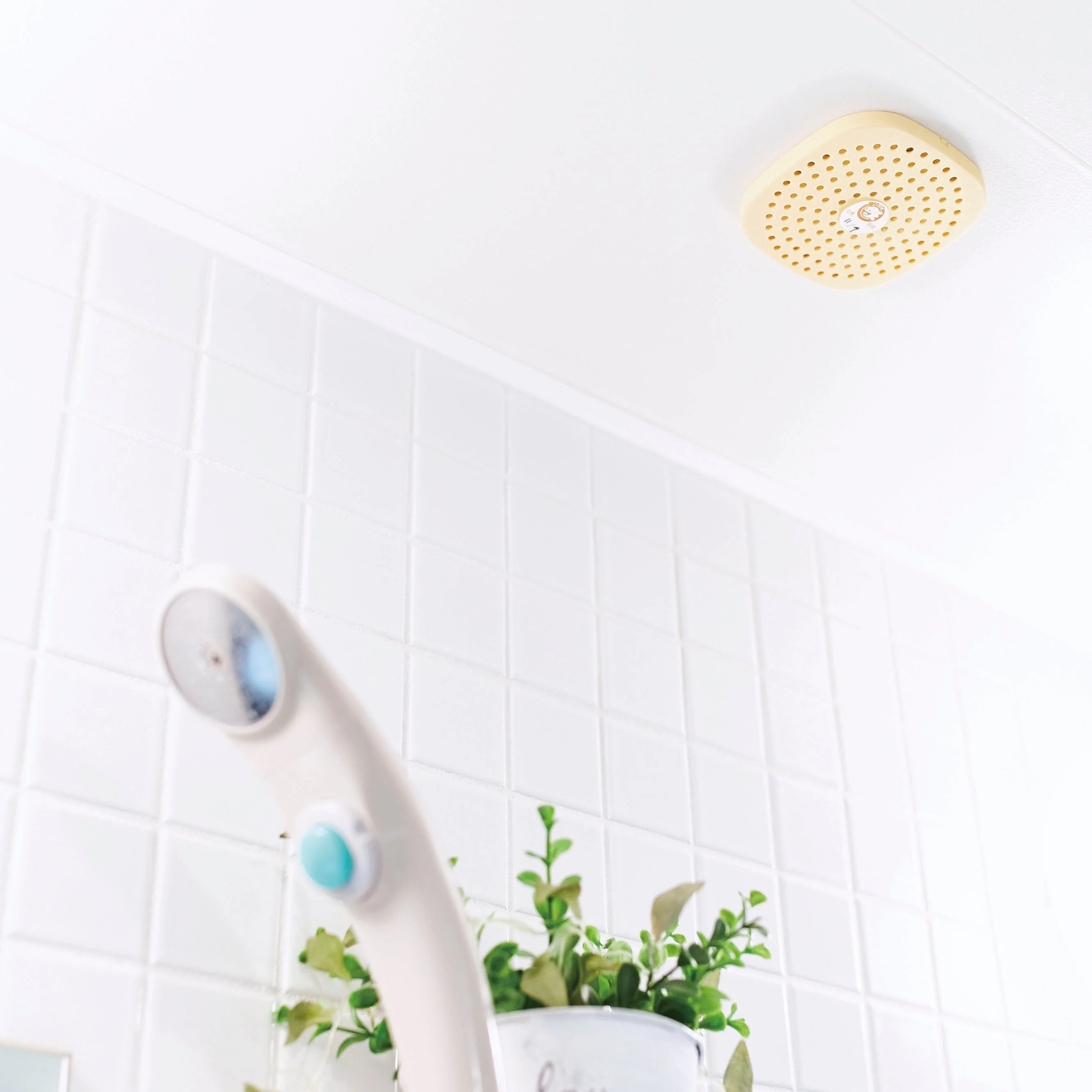 パワーバイオお風呂のカビきれい　