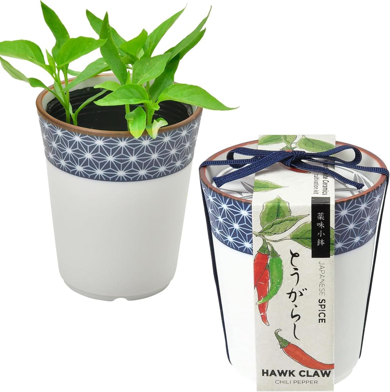 【最大21％OFF】家庭菜園を始めるなら【栽培キット】簡単！いろいろ揃えなくてOK♪【Amazonタイムセール】（画像3）