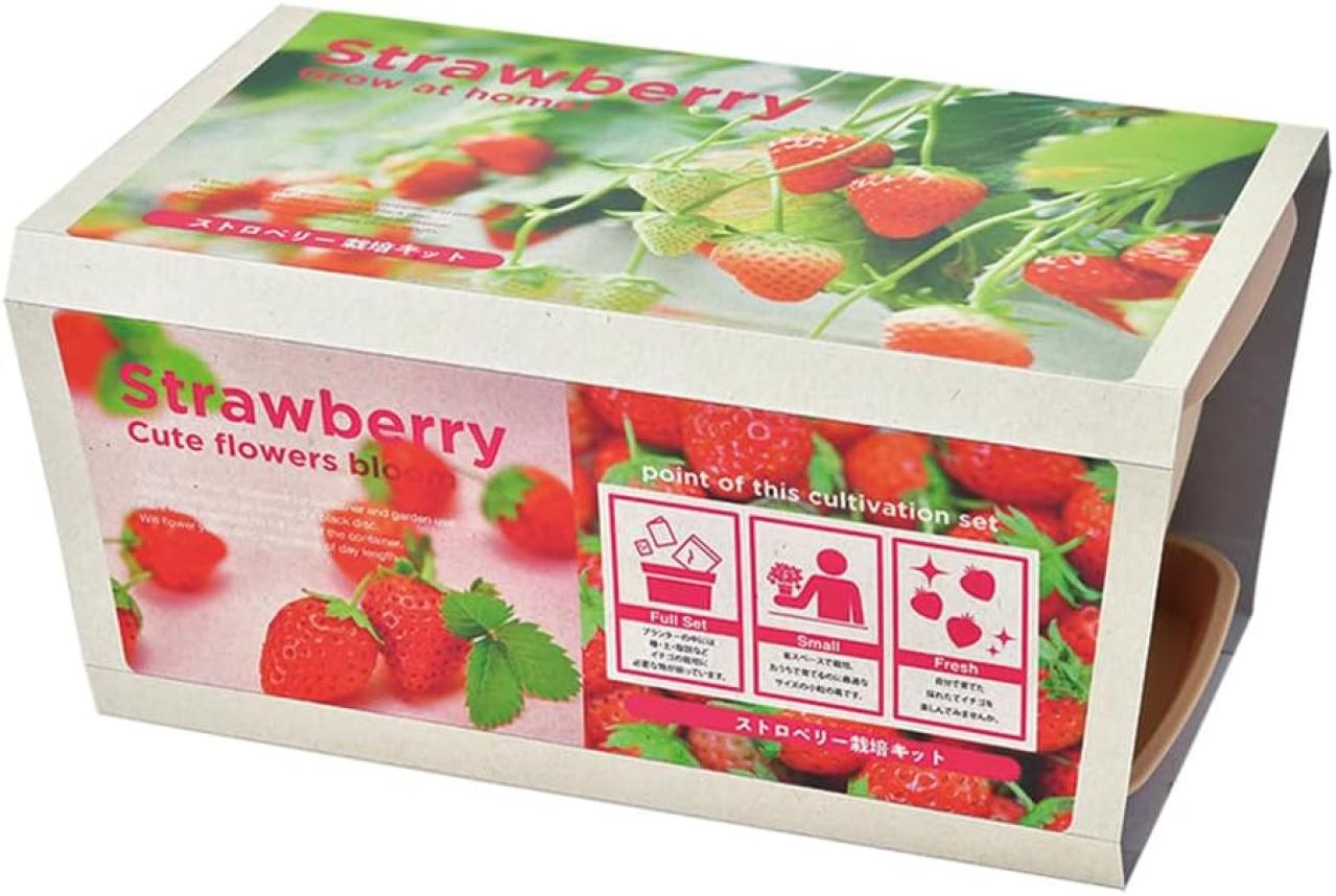 【最大21％OFF】家庭菜園を始めるなら【栽培キット】簡単！いろいろ揃えなくてOK♪【Amazonタイムセール】（画像2）