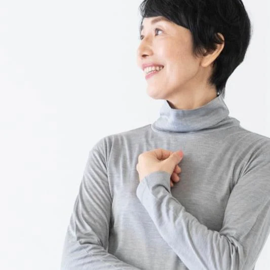 シルク100%のハイネックカットソー（ライトグレー）