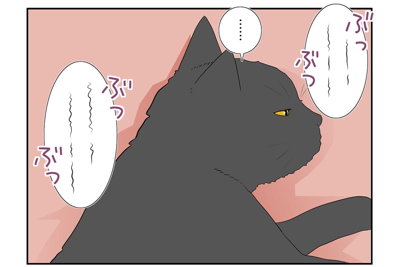 【マンガ・老猫日誌 ＃6】萎えた足をマッサージすると…19歳の元保護猫・桃姐