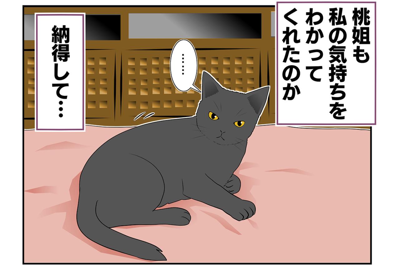 【マンガ・老猫日誌 ＃9】八つ当たりする老猫…19歳の元保護猫・桃姐