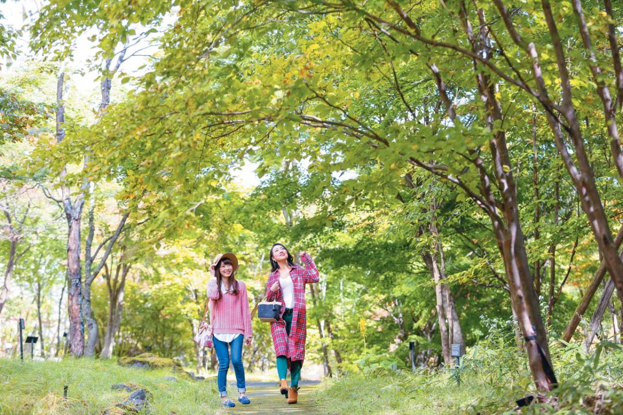 興奮＆感動！【旅好き50代女性が選ぶアウトドア】この秋に行きたいジップライン、自然観察スポットを紹介（画像2）