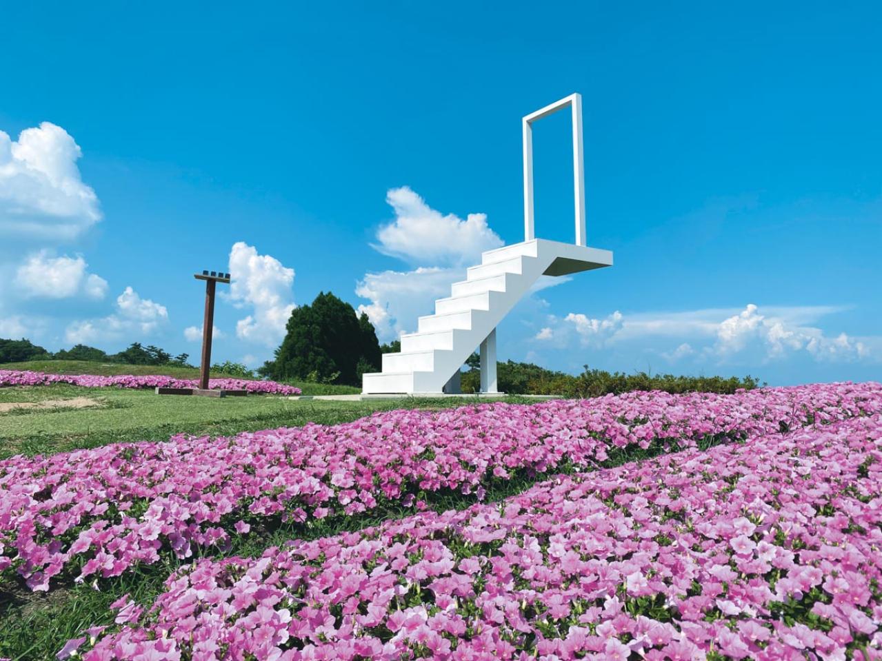 興奮＆感動！【旅好き50代女性が選ぶアウトドア】この秋に行きたいジップライン、自然観察スポットを紹介（画像9）