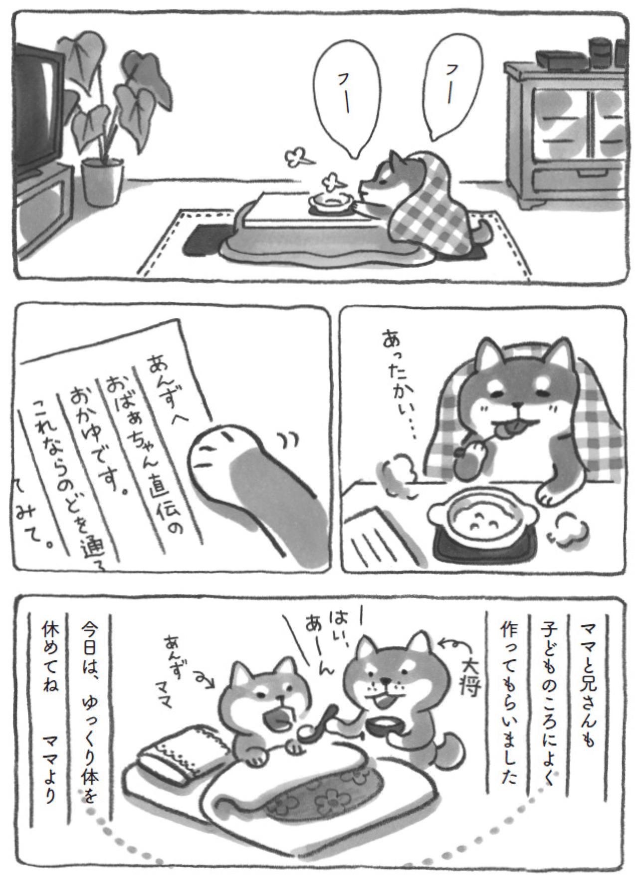 【柴犬食堂 #21】心がポカポカ！約束を断った柴犬あんずを癒やしたのは？（画像5）