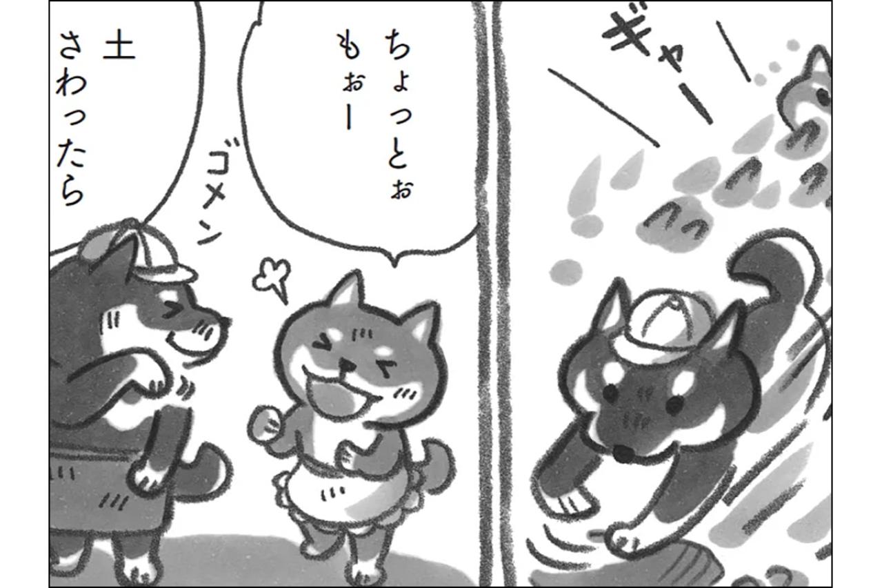 柴犬がモフモフの季節。懐かしさあふれる里山遠足へ！【柴犬食堂 #27】