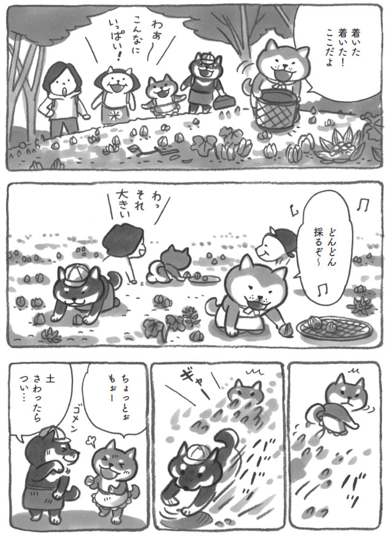 柴犬がモフモフの季節。懐かしさあふれる里山遠足へ！【柴犬食堂 #27】（画像4）