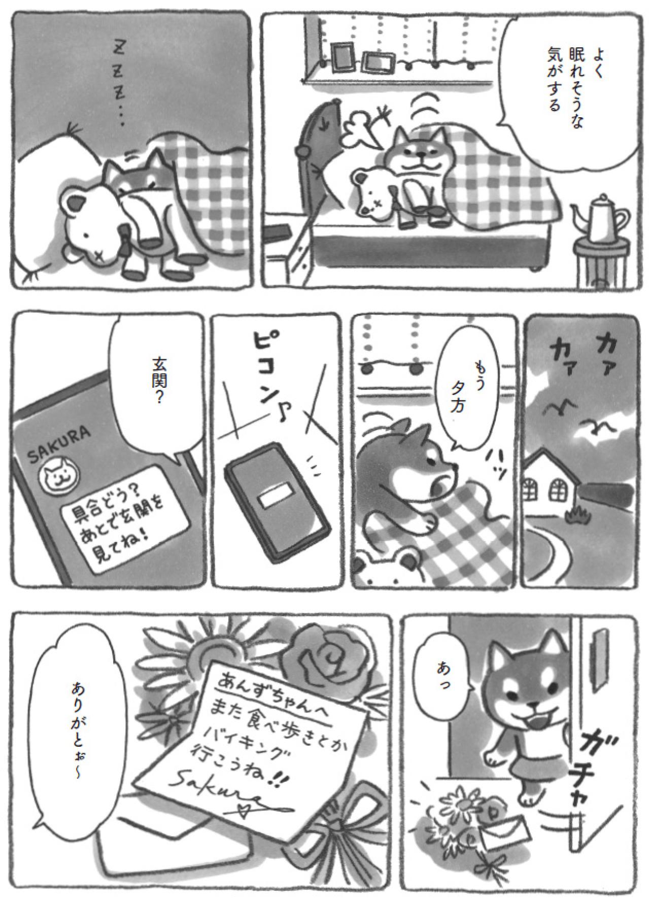 風邪の柴犬あんずを包む海辺の秋のやさしい時間【柴犬食堂 #22】（画像2）