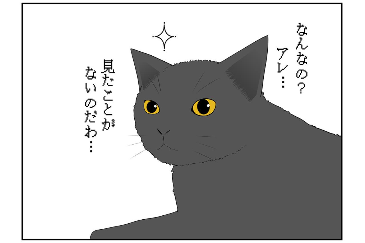 【マンガ・老猫日誌 ＃15】老猫のトイレ事情その3…19歳の元保護猫・桃姐