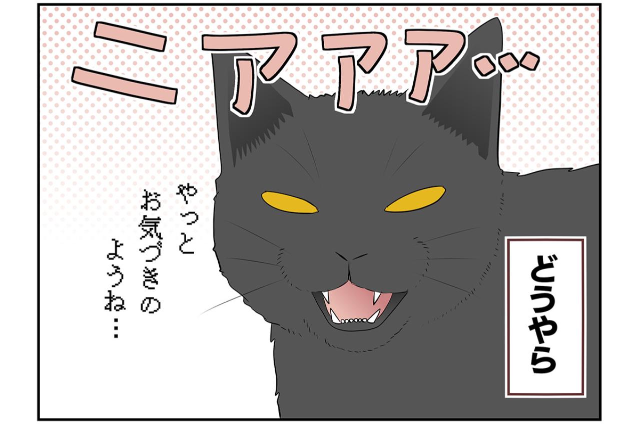 【マンガ・老猫日誌 ＃16】ウロウロ動き回る老猫…19歳の元保護猫・桃姐