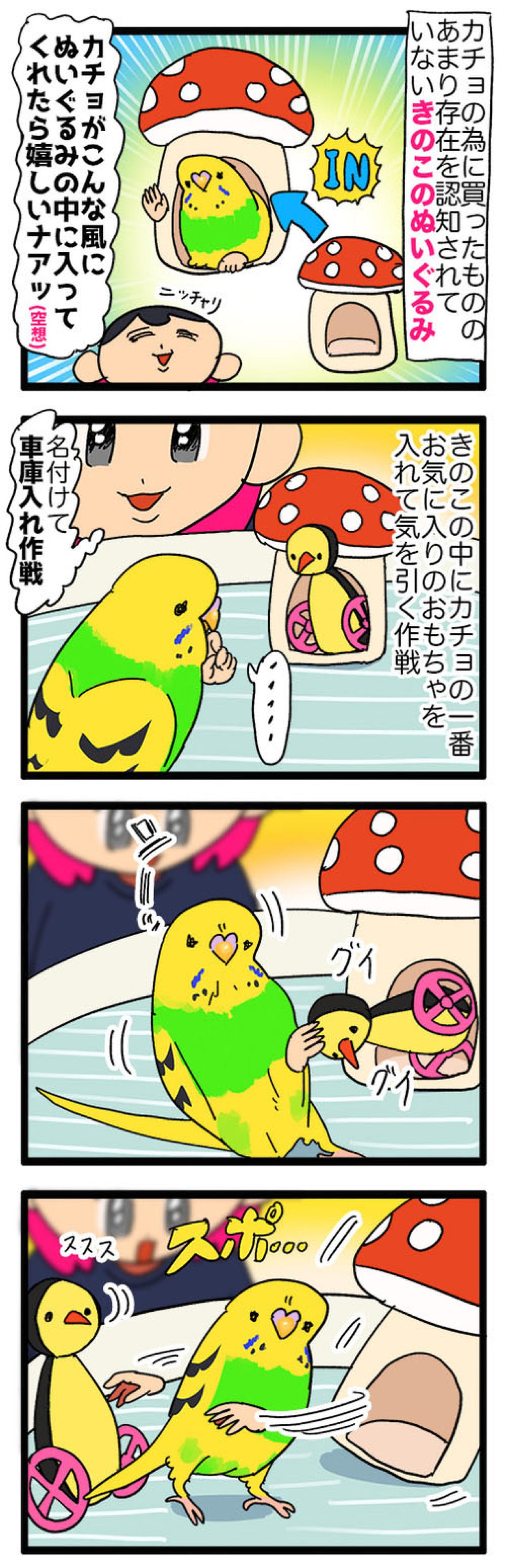 セキセイインコ　カチョ再検査と性別判明エピソード【鳥マンガ＃121】（画像4）