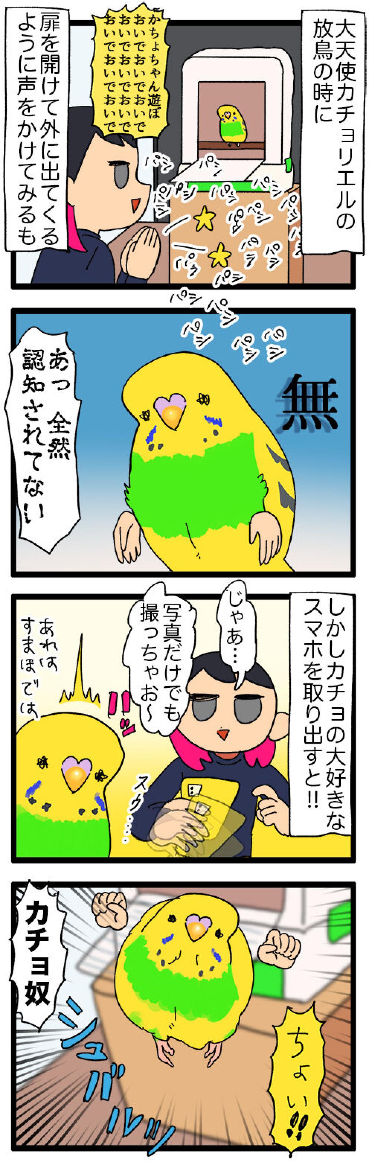 隔離越しの絆！ゴルとカチョのすれ違い日常／新人インコはスマホが好き？【鳥マンガ＃119】（画像6）