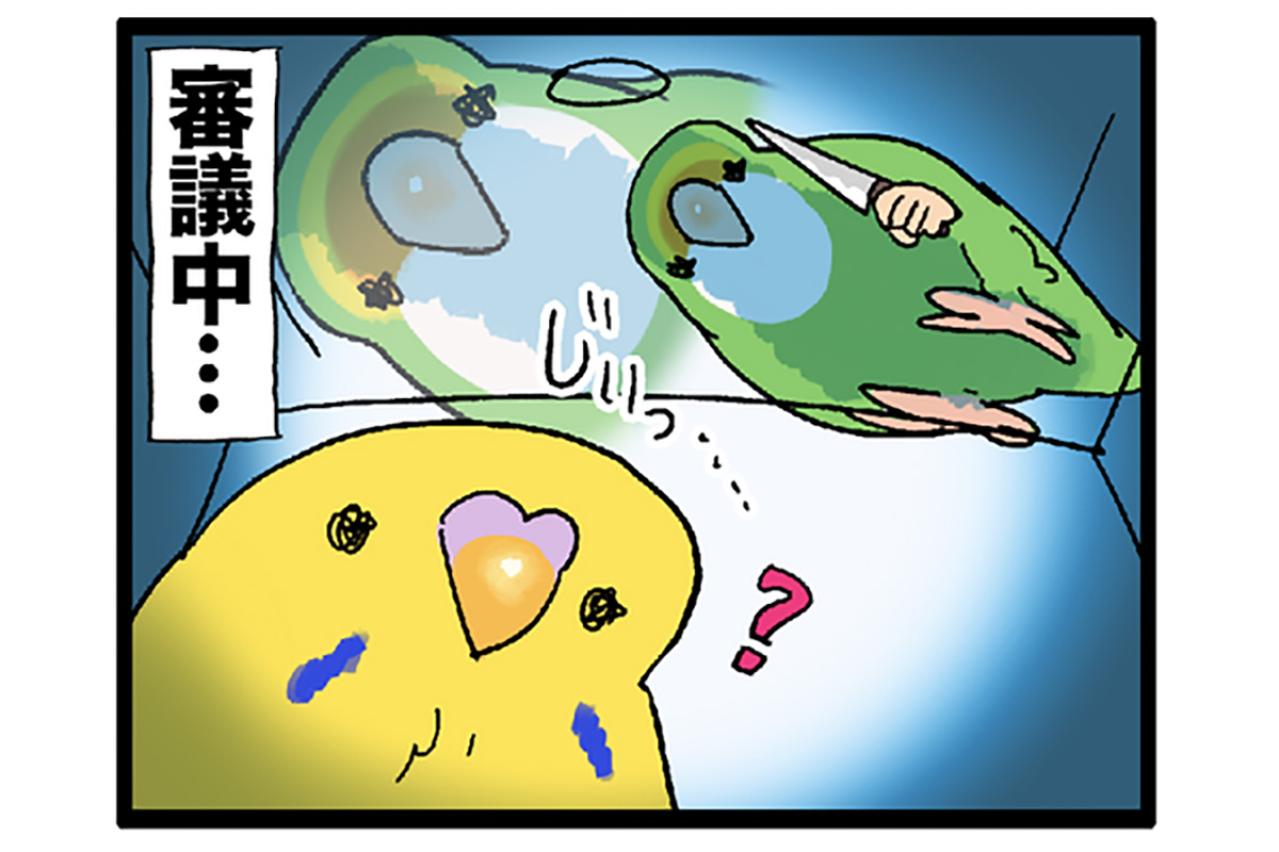 カゴ越しにお見合い！？／水浴びが下手すぎるインコの日常【鳥マンガ＃120】