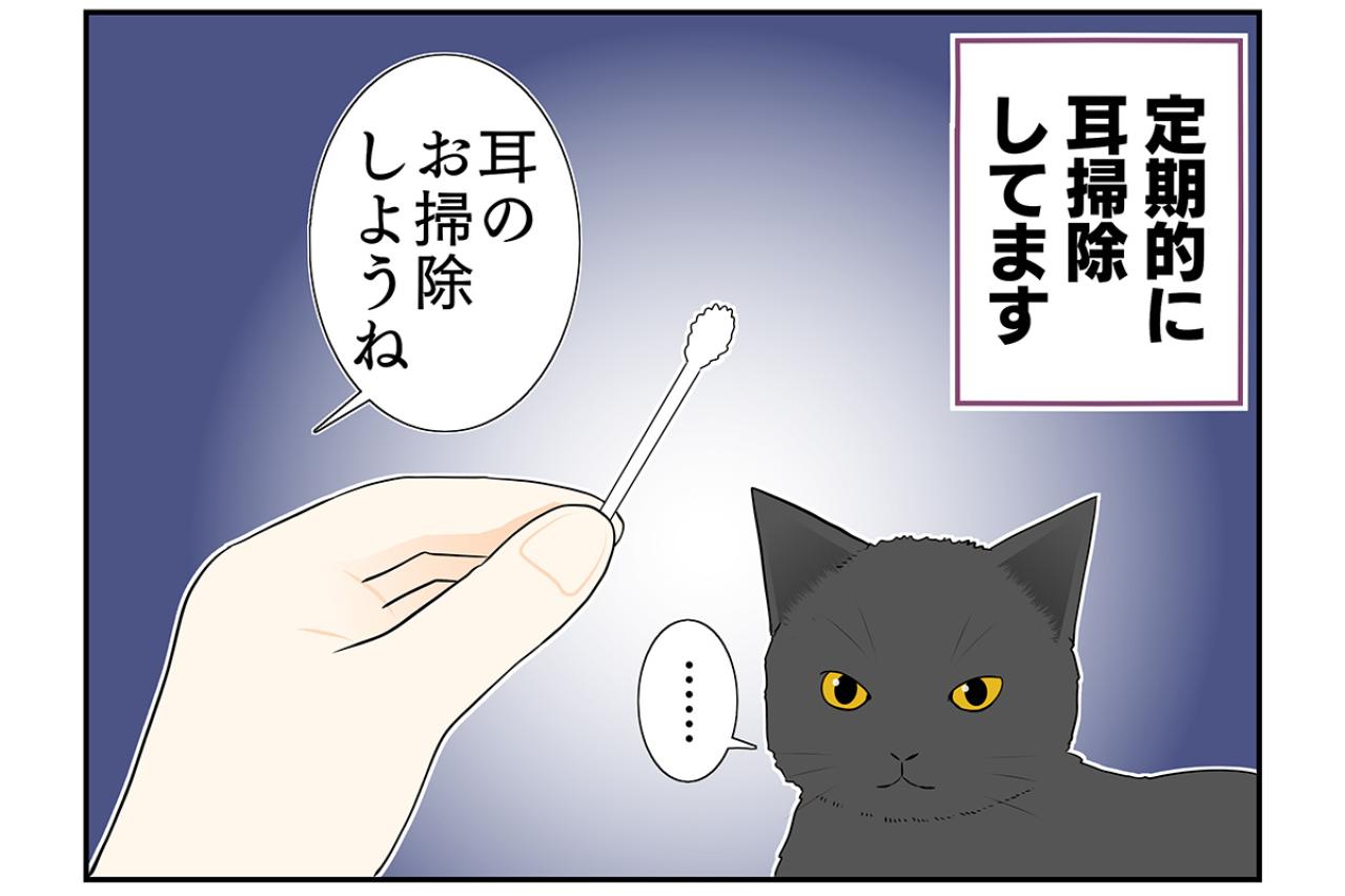 【マンガ・老猫日誌 ＃12】19歳の元保護猫・桃姐、耳掃除をする