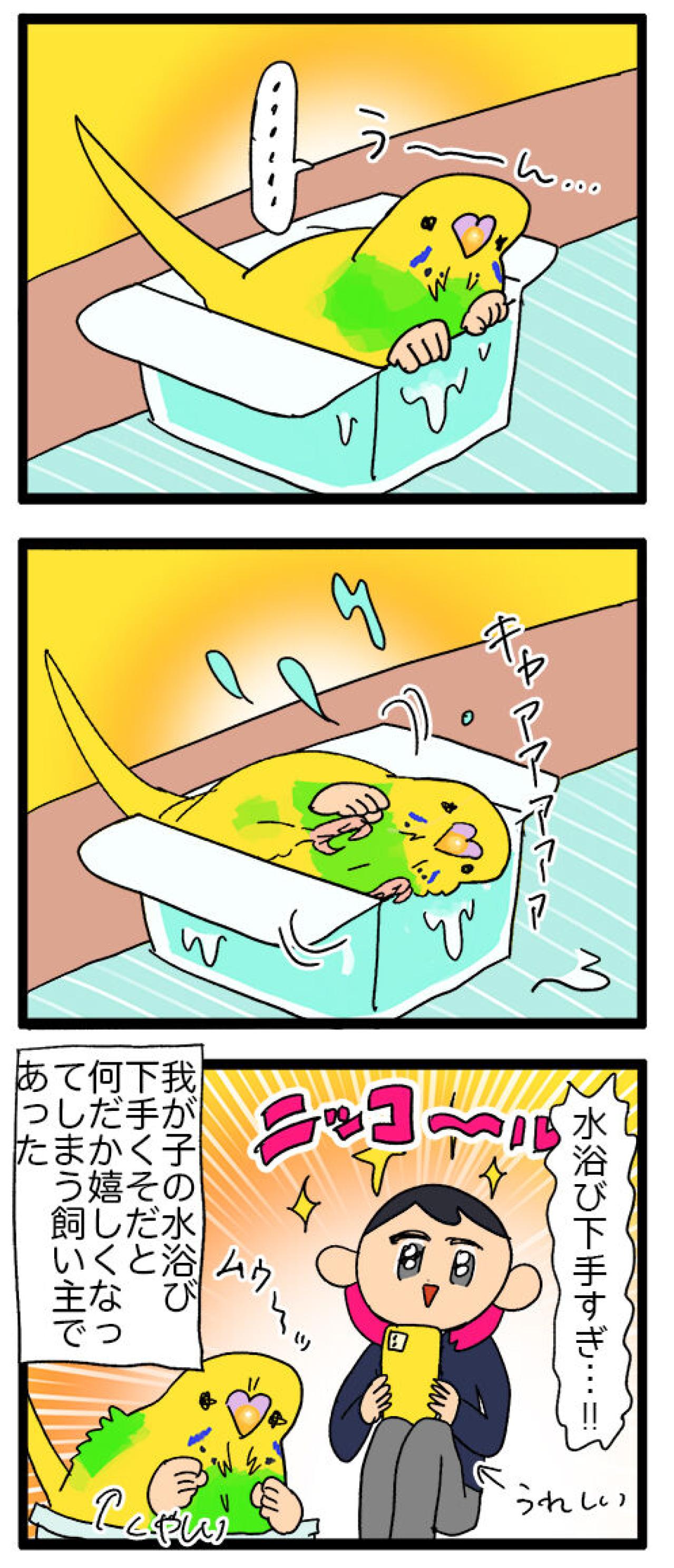 カゴ越しにお見合い！？／水浴びが下手すぎるインコの日常【鳥マンガ＃120】（画像6）