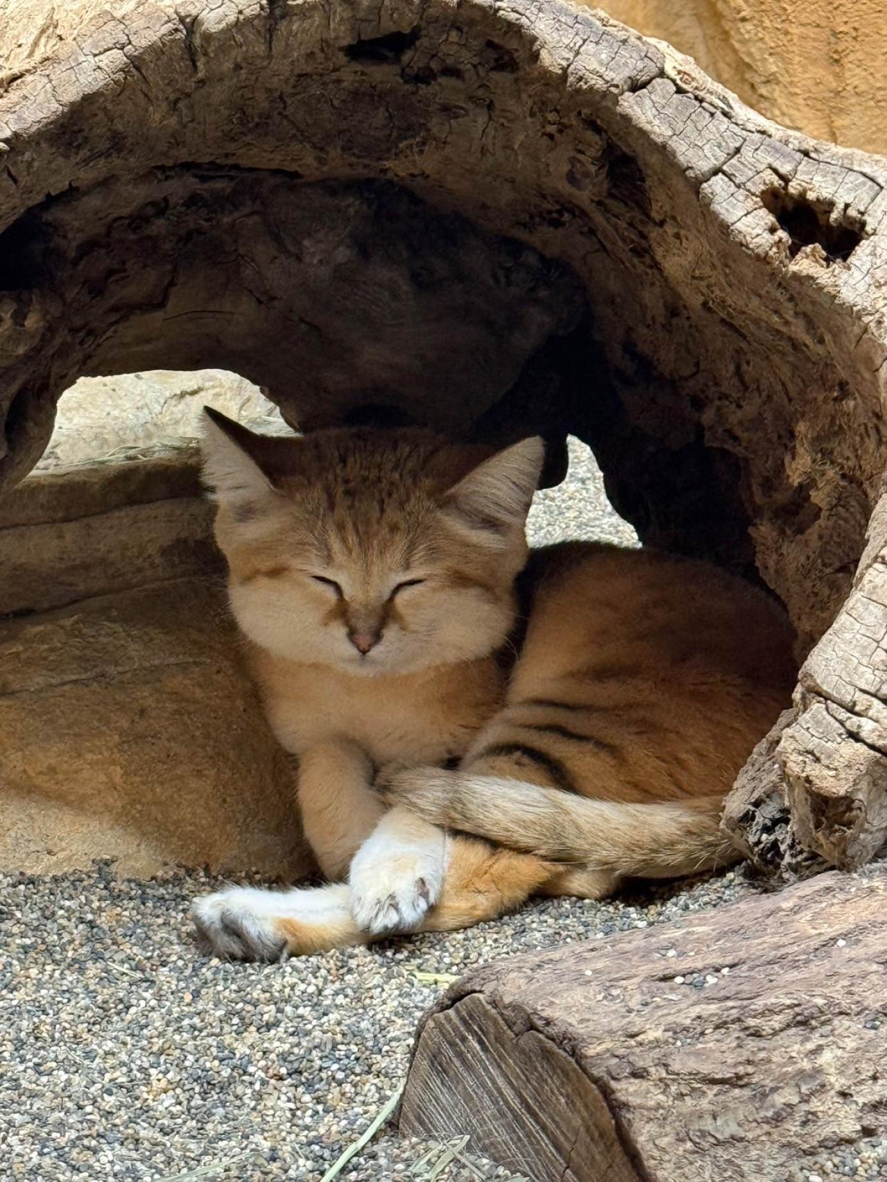 作家・角田光代さん「20代からひとり旅をしてきました」50代になって久々に出かけた旅先は？（画像4）
