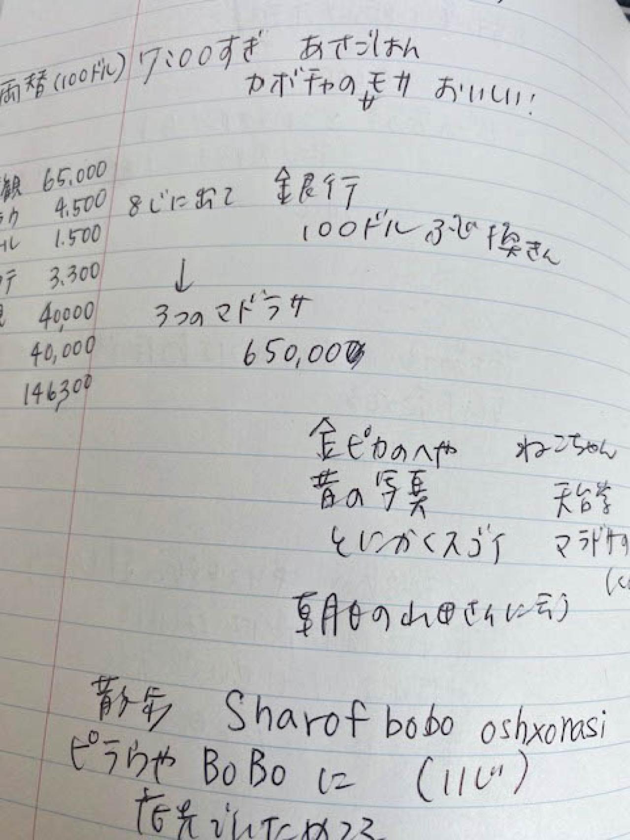 40カ国以上を旅した作家・角田光代さん。海外旅行では必ず作る「旅ノート」その中身は？（画像5）