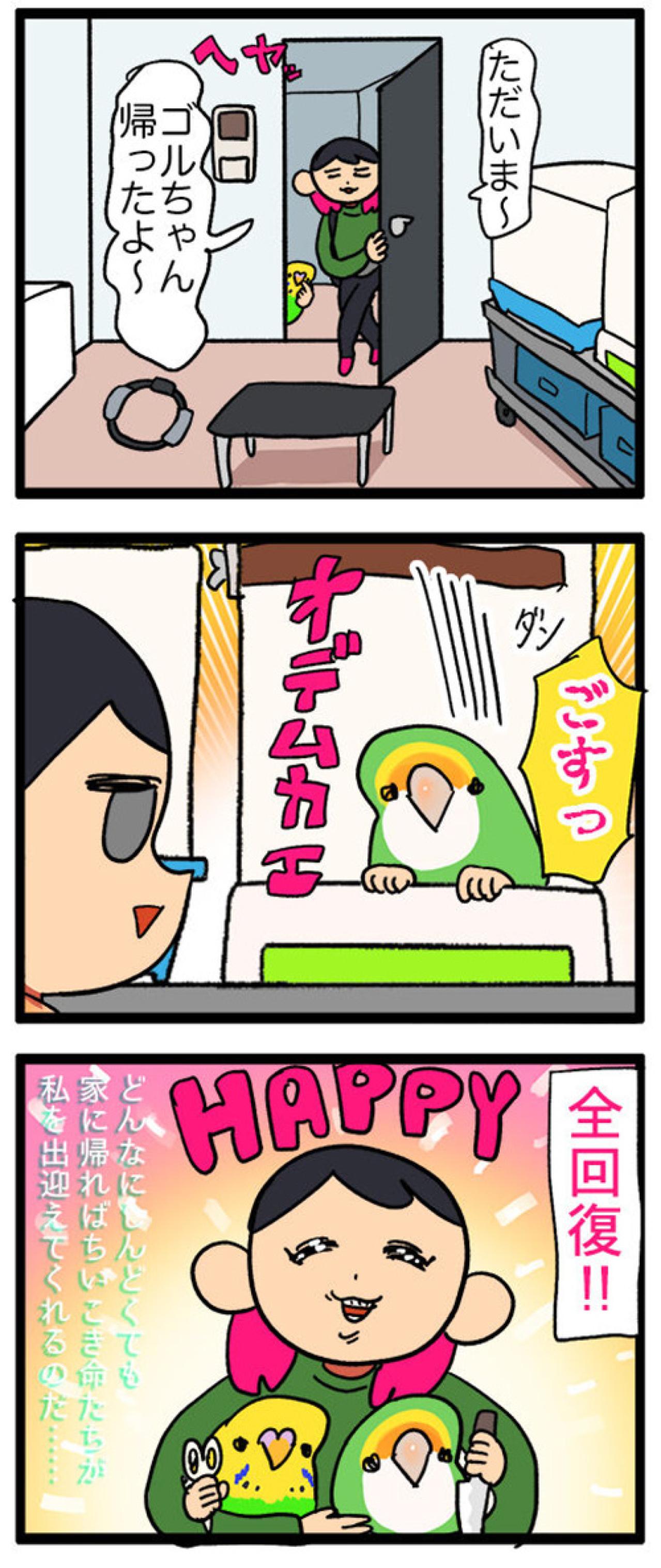 かわいさ全開！コザクラインコとセキセイインコがくれる癒やし【鳥マンガ #122】（画像5）
