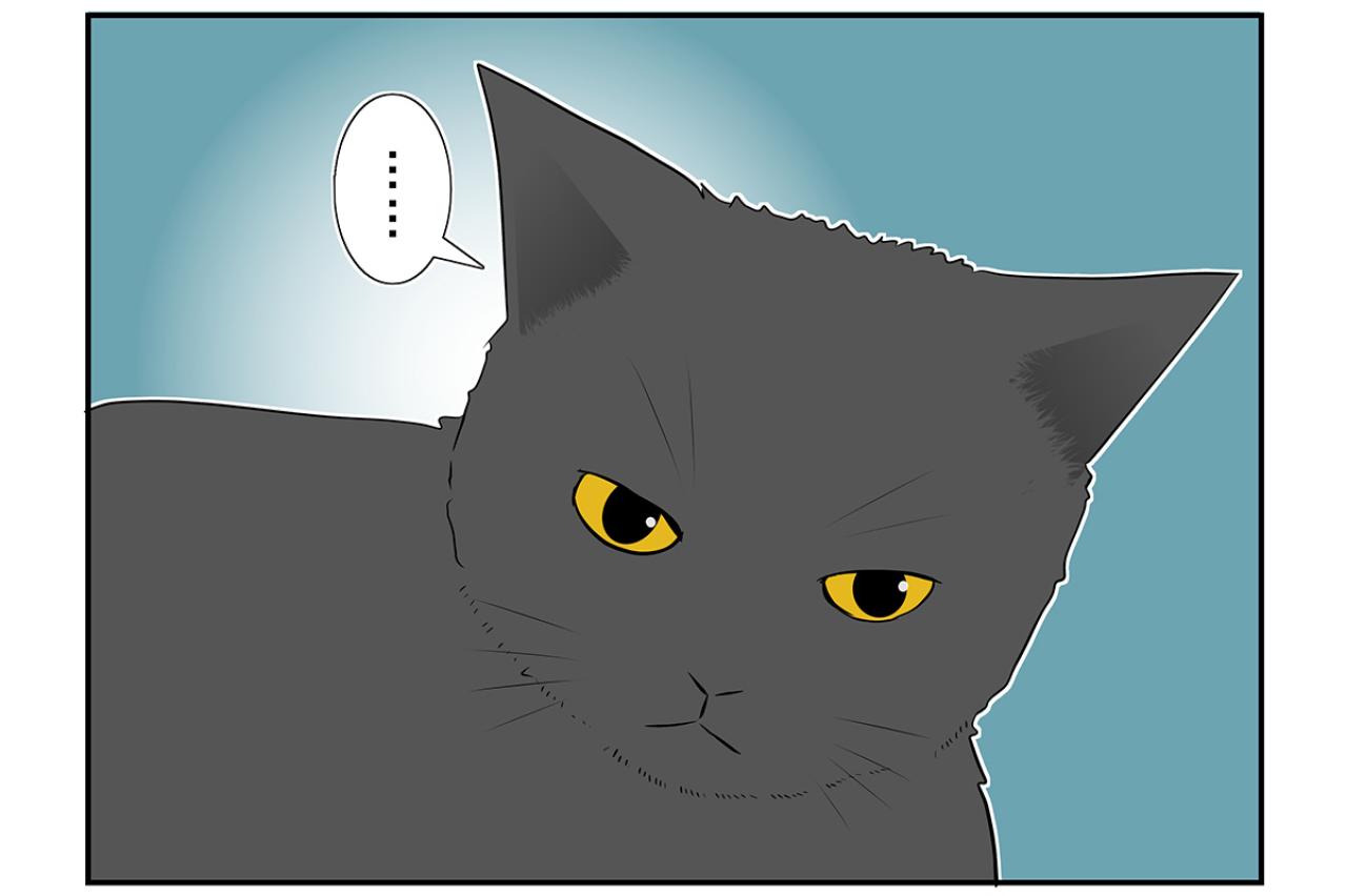 【マンガ・老猫日誌＃17】老猫、安全を確保する？ 19歳の元保護猫・桃姐