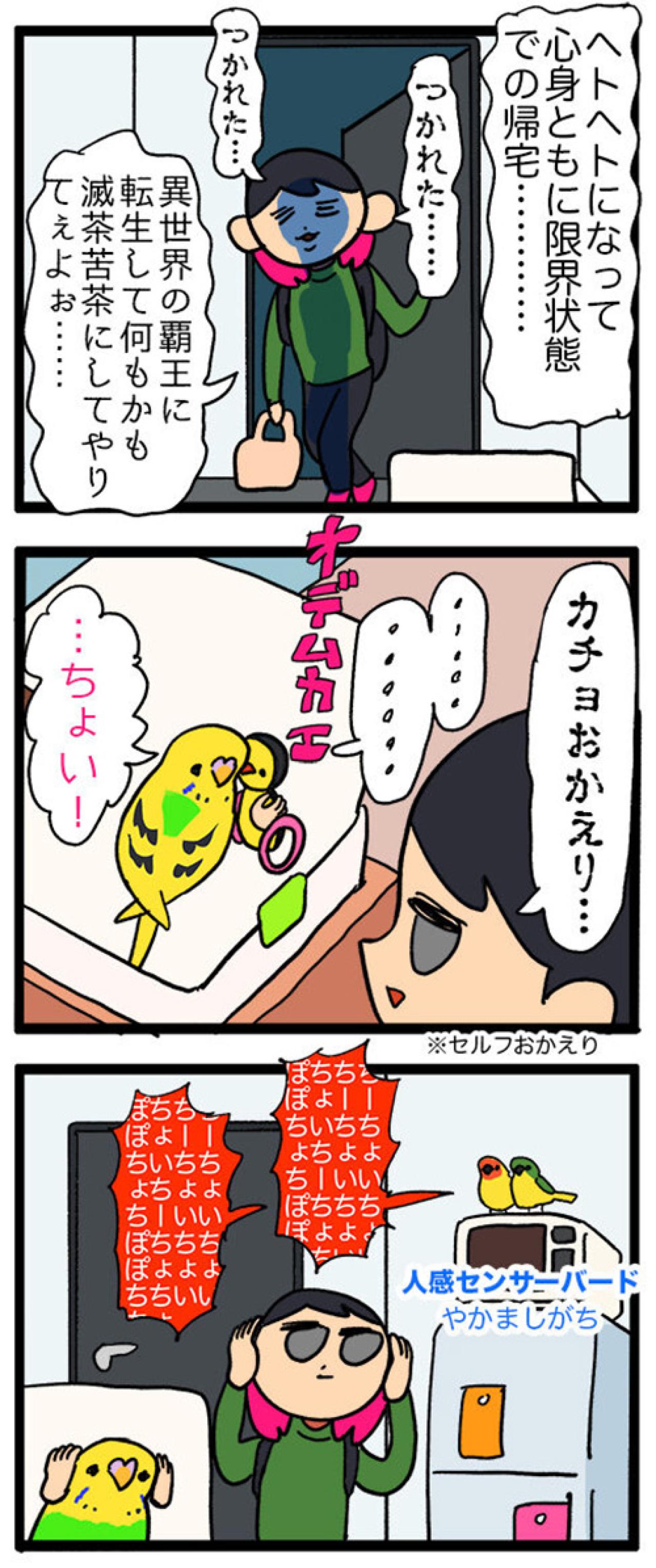 かわいさ全開！コザクラインコとセキセイインコがくれる癒やし【鳥マンガ #122】（画像4）