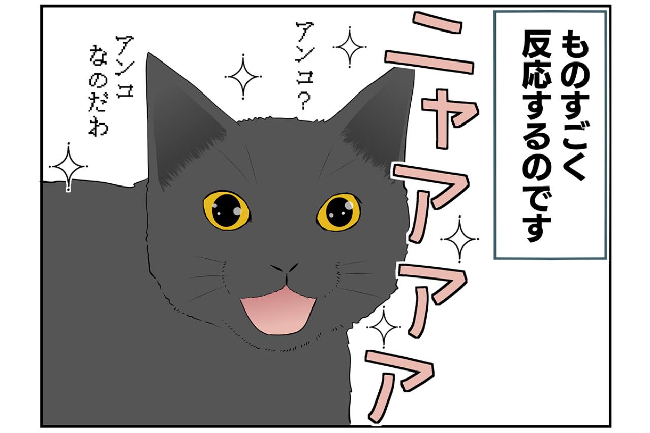 【マンガ・老猫日誌＃21】実はスイーツ女子な猫…19歳の元保護猫・桃姐