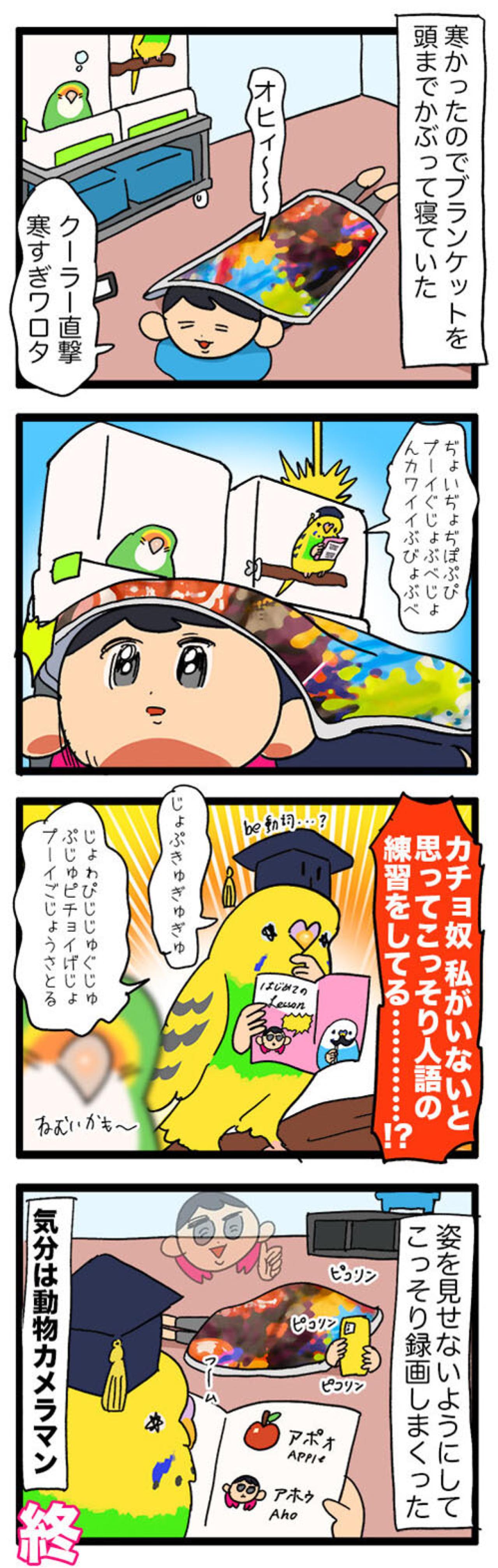 過剰スキンシップ＆こっそり人語を練習するセキセイインコの素顔【鳥マンガ #128】（画像4）